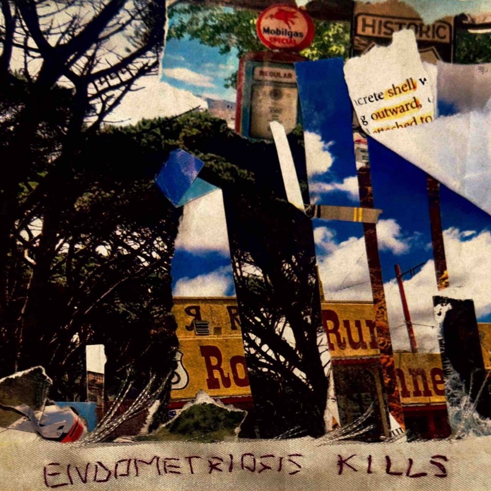 endoreality